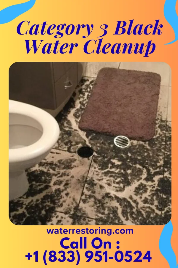 Category 3 Black Water Cleanup in Chain O' Lakes, WI